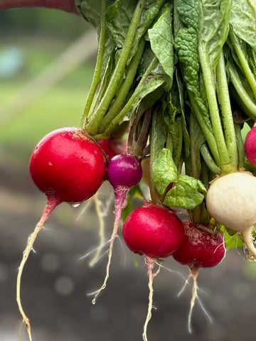 What's delicious, takes minimal time and is great for your skin?