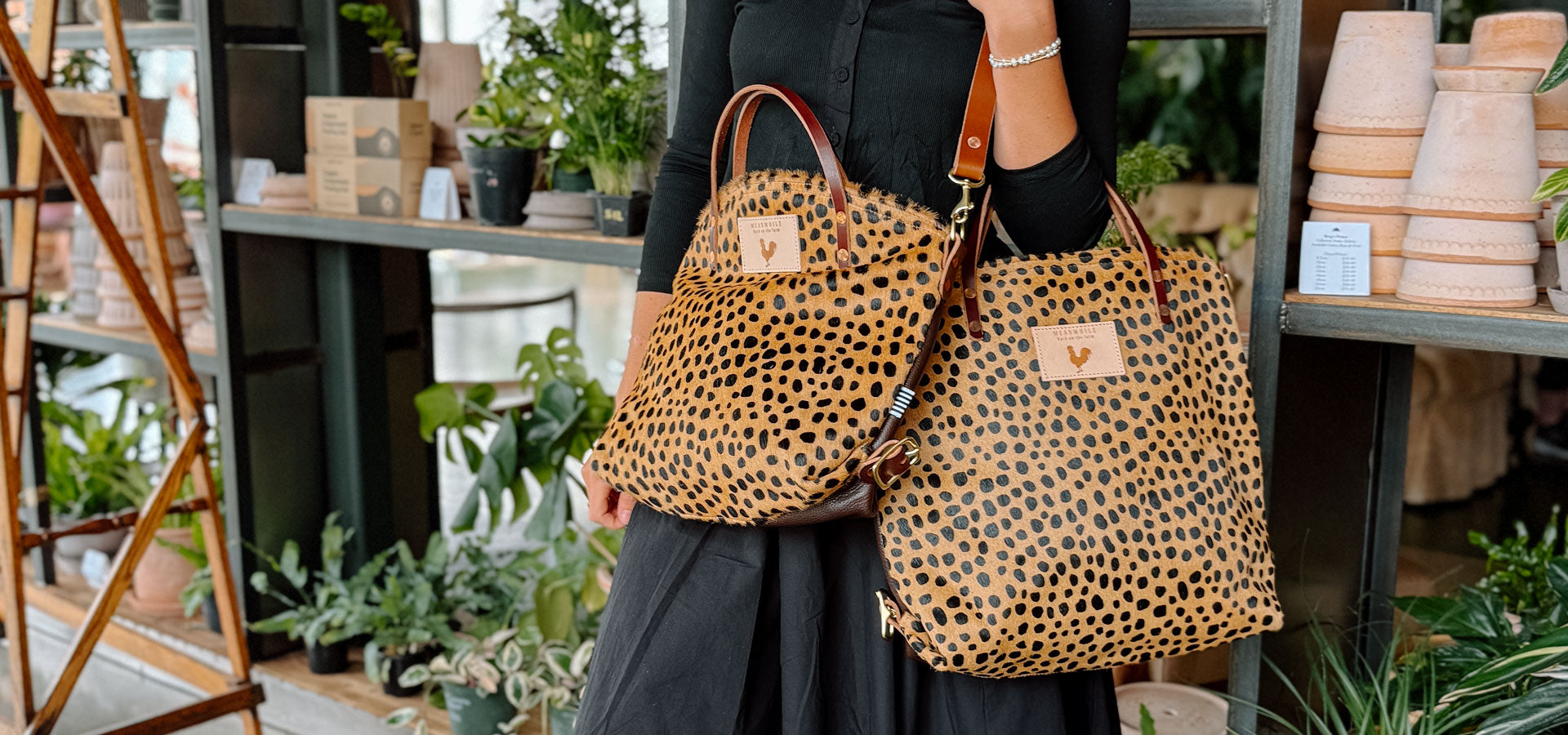 collection-banner-image