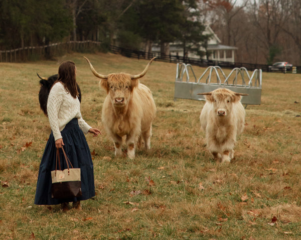 slider image slider_item_iGGyty