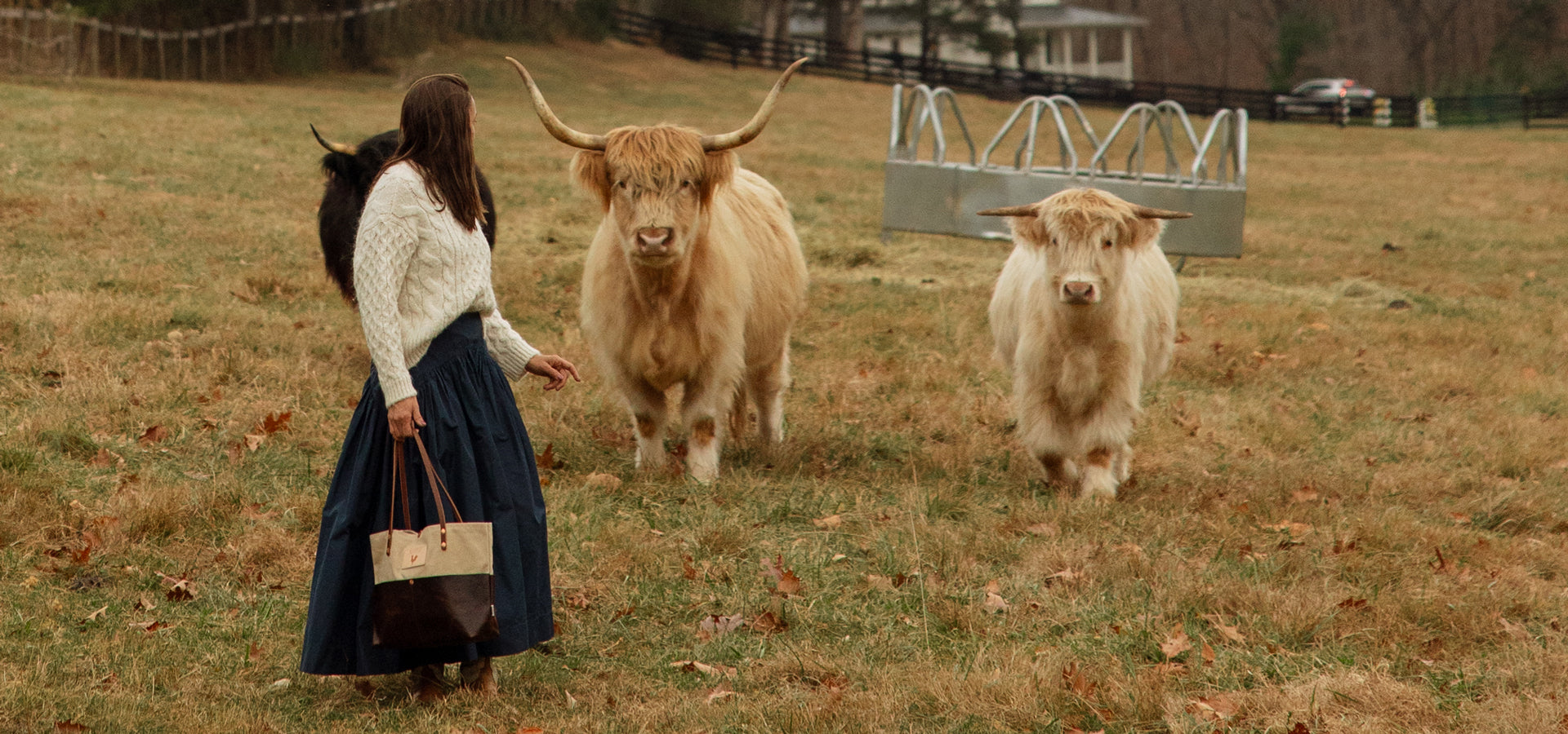 slider image slider_item_iGGyty